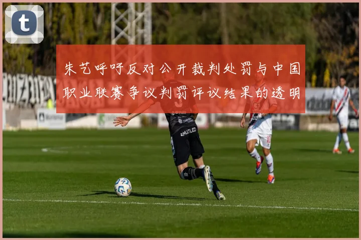 朱艺呼吁反对公开裁判处罚与中国职业联赛争议判罚评议结果的透明化探讨